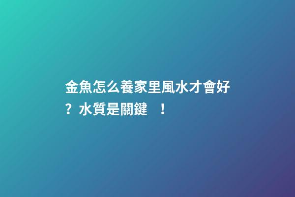 金魚怎么養家里風水才會好？水質是關鍵！